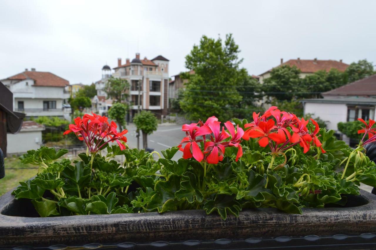 Apartments Dona Černomorec Exteriér fotografie